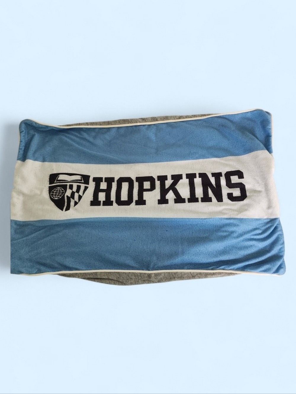 Hopkins Striped Blue & White Throw Pillow Cover